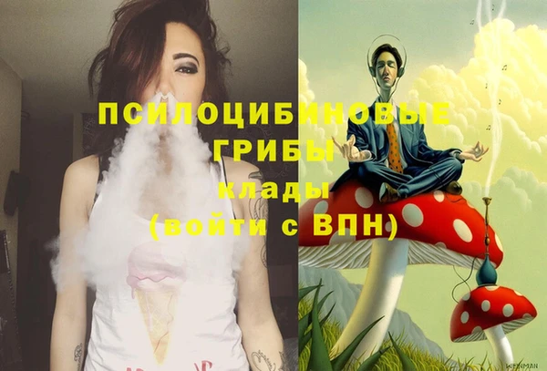 соль курить ск Коряжма